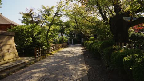 japanese garden and path to gotokuji temple, setagaya, tokyo 4k