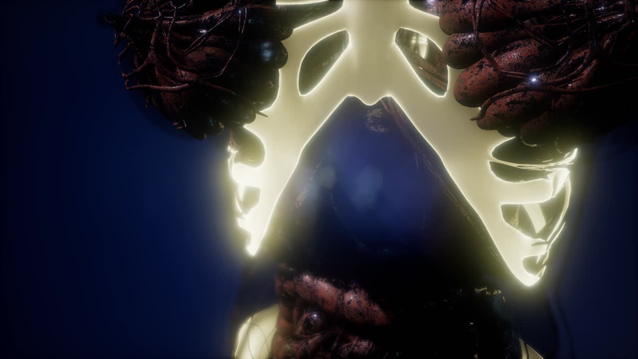 cuerpo humano con huesos esqueléticos visibles