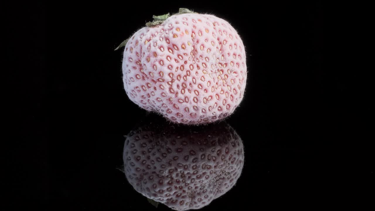 검은색 유리판에 냉동 된 딸기, 검은색 배경, 360도 회전, 클로즈업