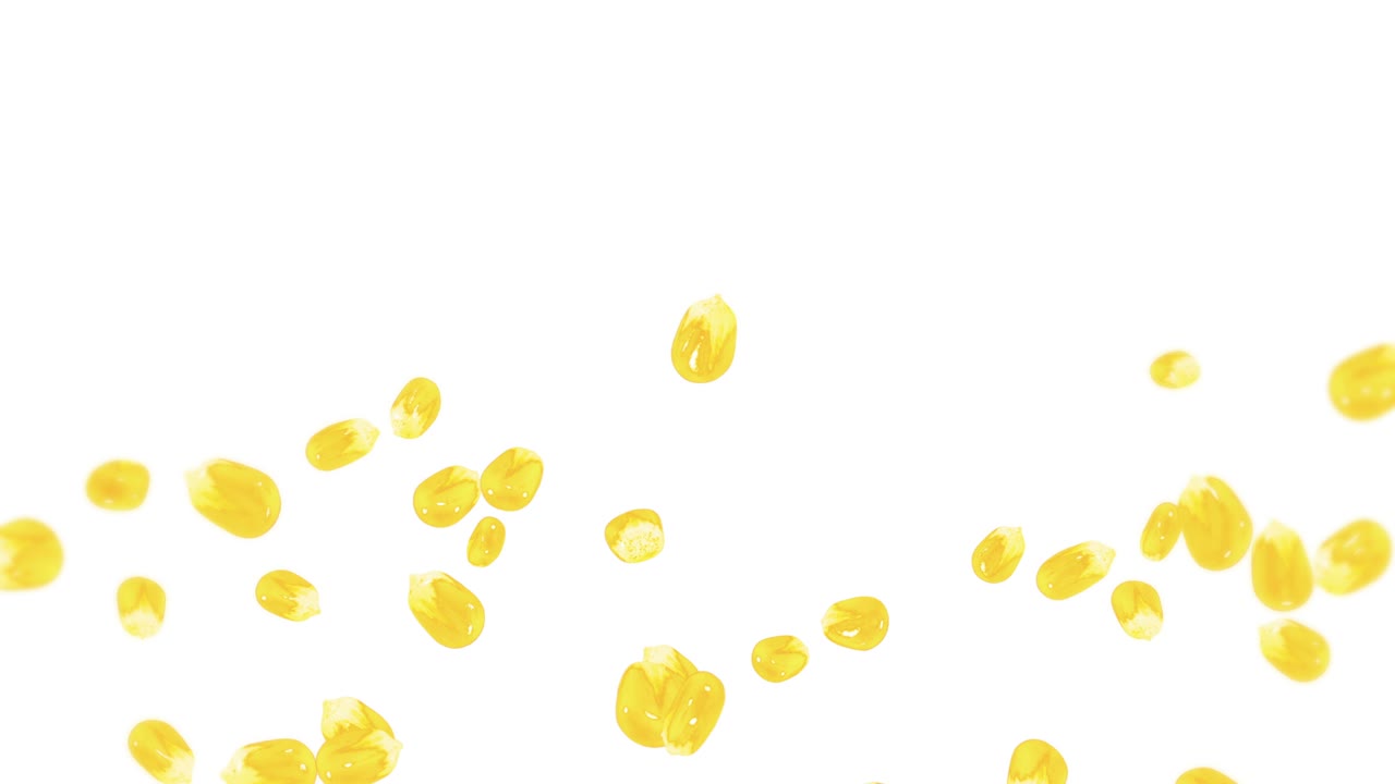 Molti chicchi di mais che volano su sfondo bianco. Semi di mais dolce gialli. Vegetariano. Cibo sano. Animazione 3D in loop di mais che ruota