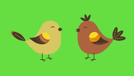 4k video of cartoon two birds in flat design.