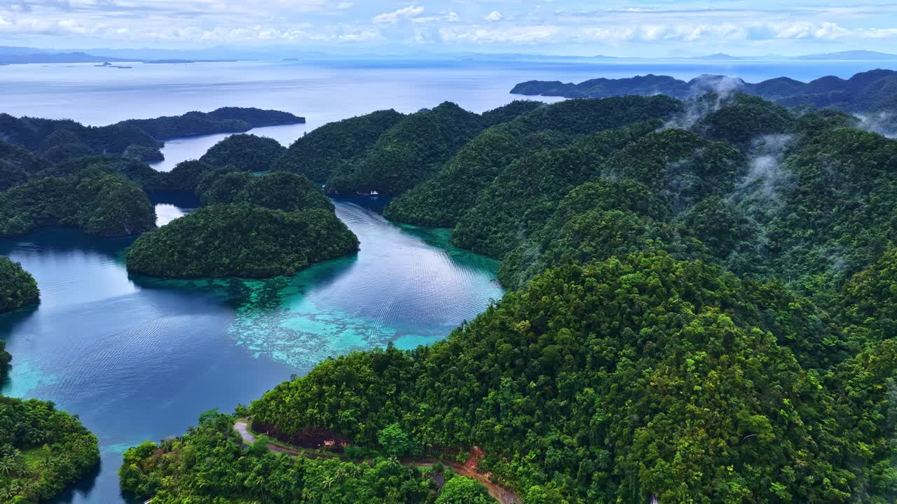 Hohe Panorama-Luftaufnahme über den Mangroven und dem Küsten-Quallenschutzgebiet Sohoton, Philippinen