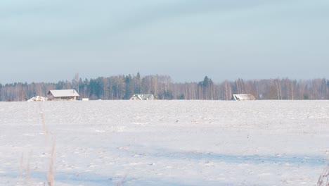 Weiße-Verschneite-Wiese-Im-Winter