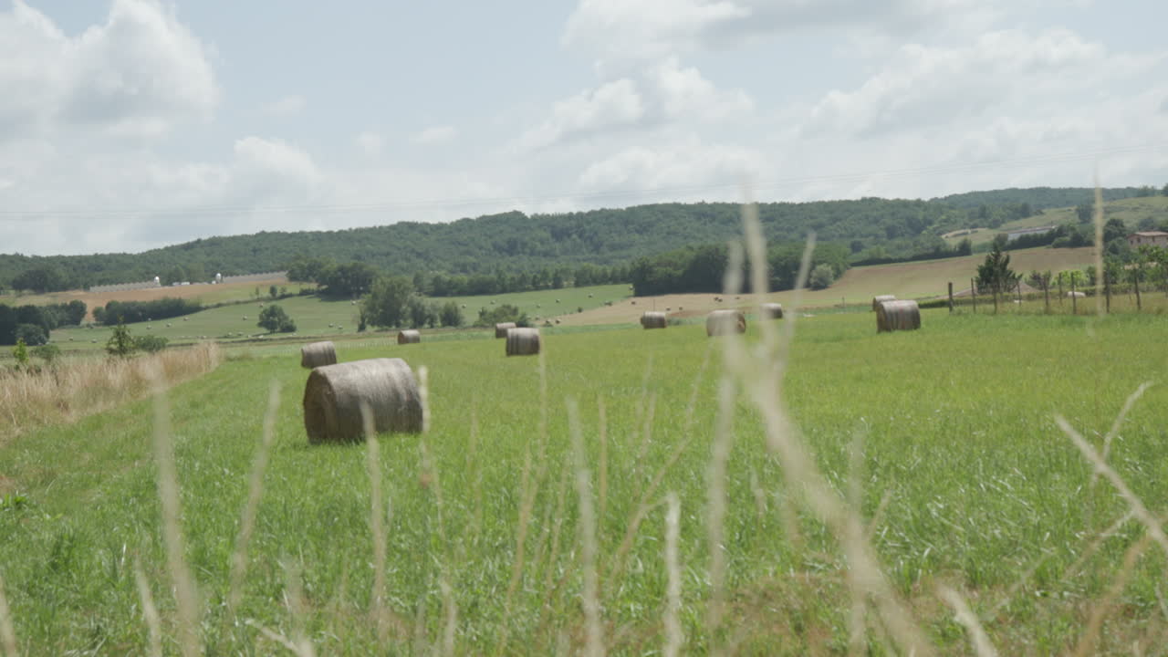 Passaggio di messa a fuoco dall'erba alta a un campo di balle di fieno in una fattoria nella Francia meridionale
