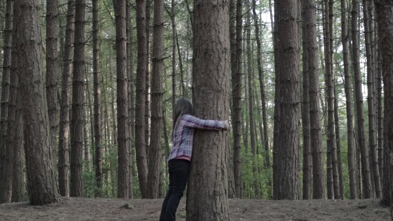 Woman hugging tree in pine forest