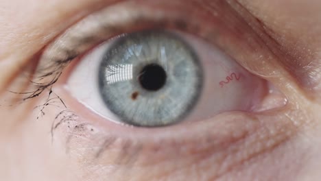 primer plano macro extremo de un solo ojo azul claro, enfoque suave, portátil, día
