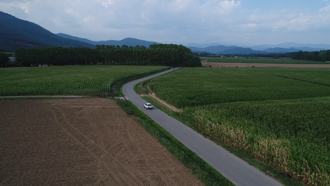 시네마틱 샷, 작은 시골길을 달리는 클래식 자동차, 돌리 추적