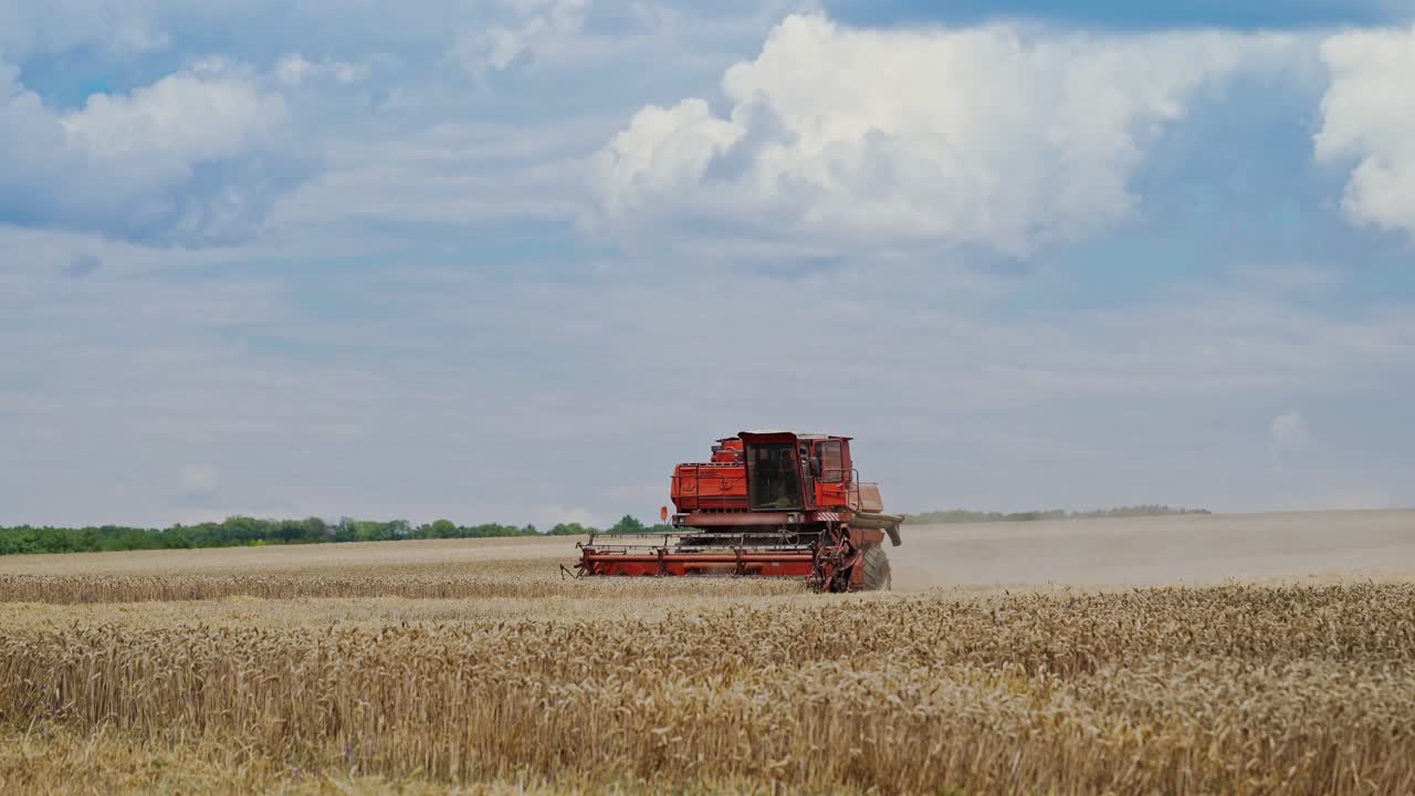 Red combine harvester at work in the wheat field under the bright cloudy sky outdoors. Process of harvesting ripe yellow wheat in summer. Agricultural background.