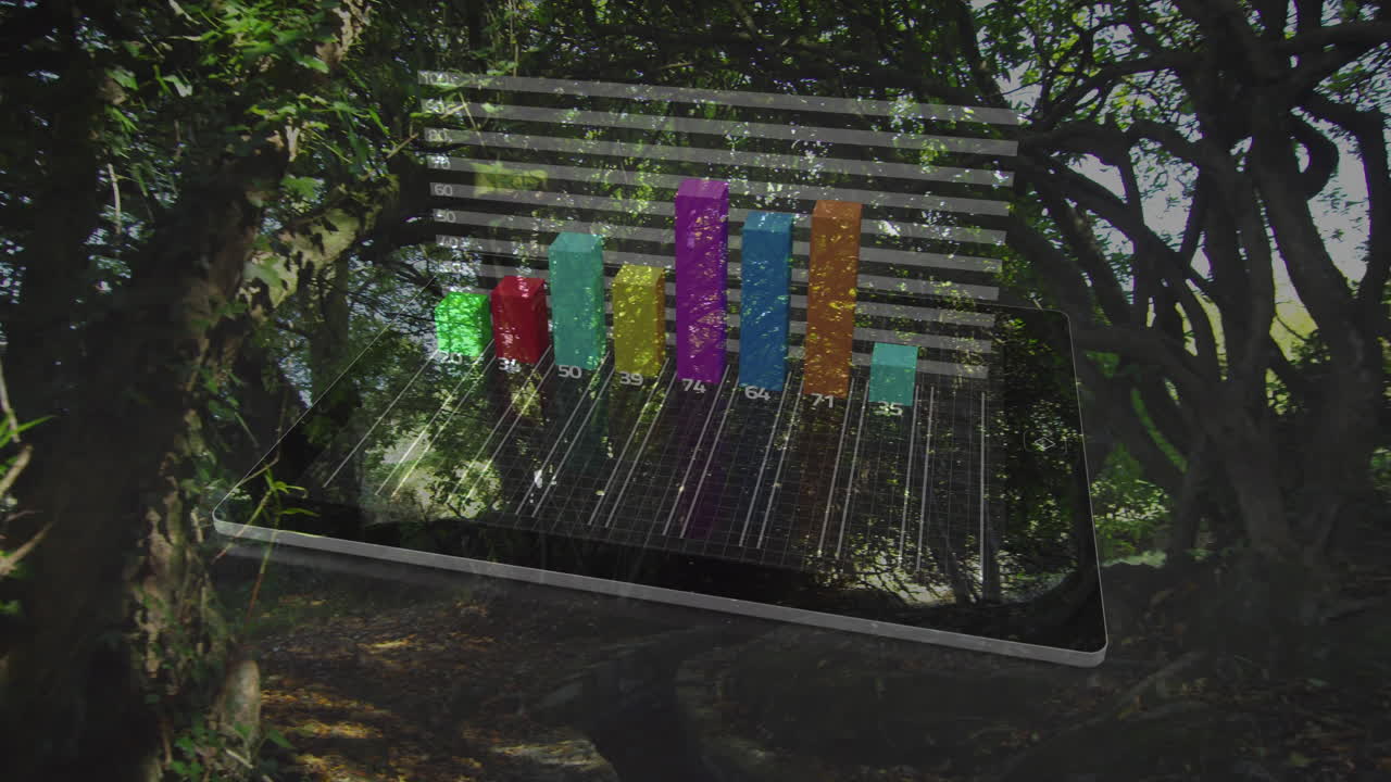 Animating bar graph over forest background with sunlight filtering through trees