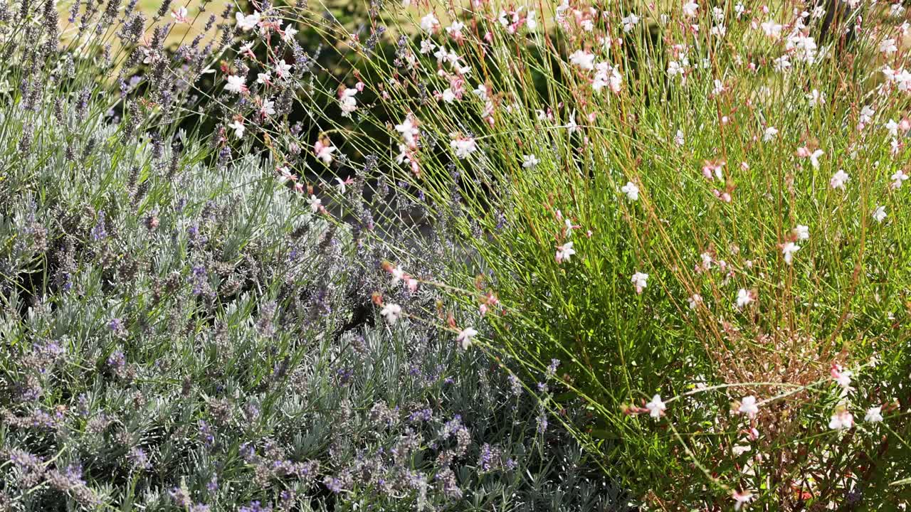 스프링클러 시스템: 풍요로운 정원 식물에 물을 주기