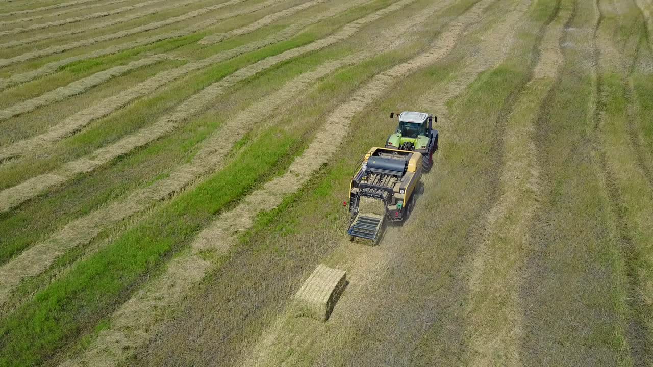 Tractor Collects Dry Hay. Aerial flight view of a cube baler tractor discharges a fresh wheat bale during harvesting