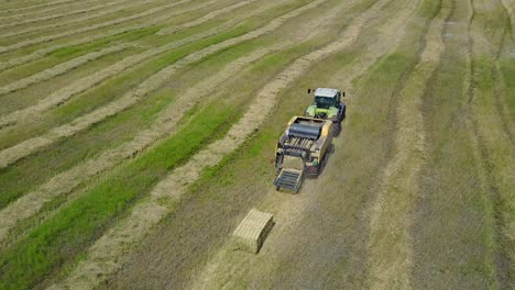 tractor collects dry hay. aerial flight view of a cube baler tractor discharges a fresh wheat bale during harvesting