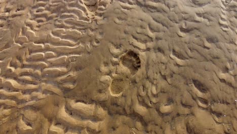 path-of-footprints-in-wet-sand-at-the-beach