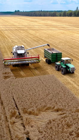 combine harvester agriculture machine with tractor. aerial shot of combine loading off corn grains into tractor trailer. vertical video