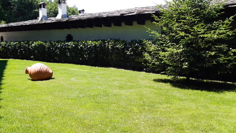 Sunny-day-in-the-backyard-with-mowed-green-grass,-pine-and-clay-jug