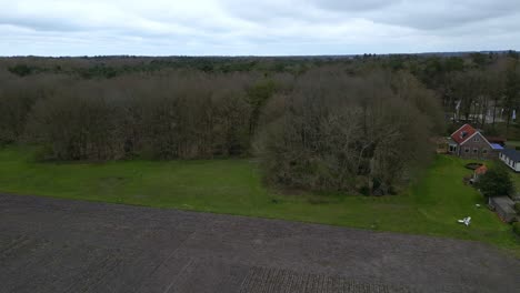 Bäume-Im-Park-In-Der-Nähe-Niederländischer-Dorfhäuser-In-Den-Niederlanden