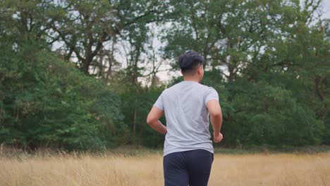 man running in a forest field