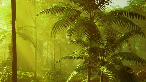 lush green tropical forest with sunlit ferns and tranquil atmosphere