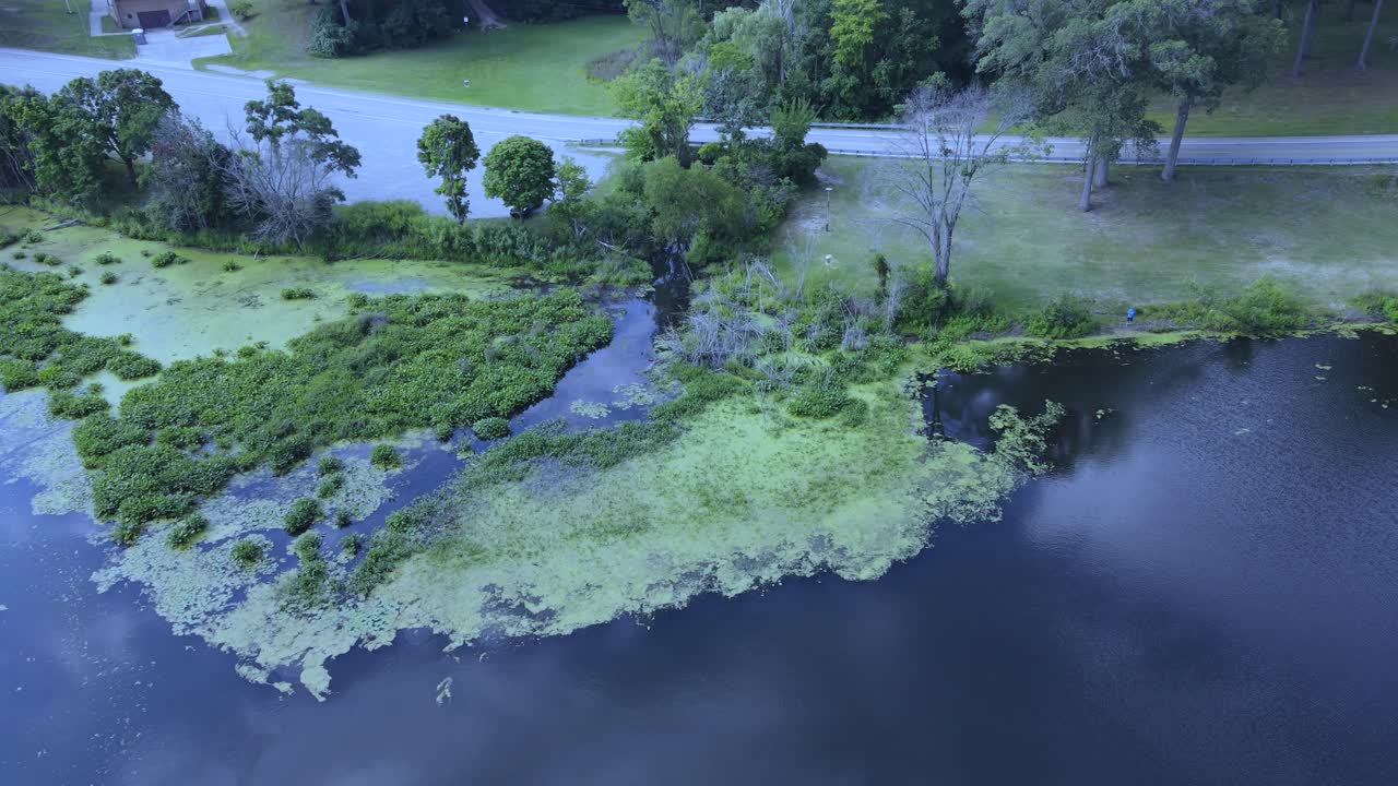 ozark 색상 편집으로 패닝 및 틸팅