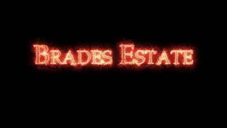 brades estate written with fire. loop