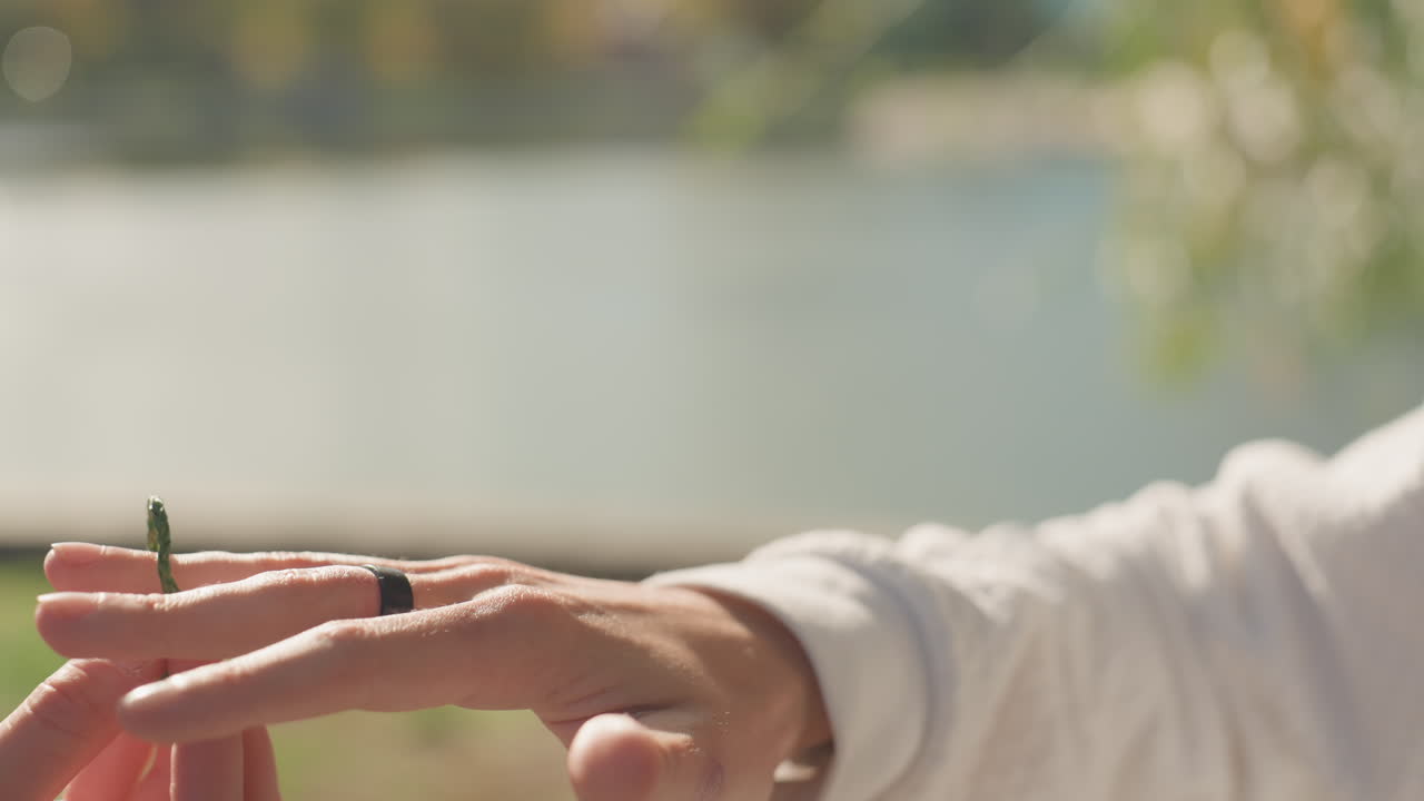 Mano in riva al lago con anello nuziale contemplativa, luce solare soffusa tra gli alberi, manica bianca che sfiora l'acqua, piccola libellula posata sul dito, profondità di campo ridotta, gesto delicato che suggerisce il matrimonio