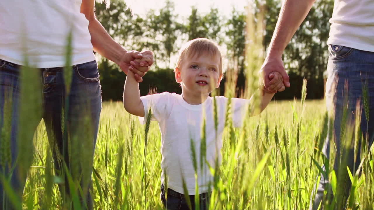 The concept of a happy family. Close-up of a family of three people walking in a field with spikelets of wheat close-up of a boy