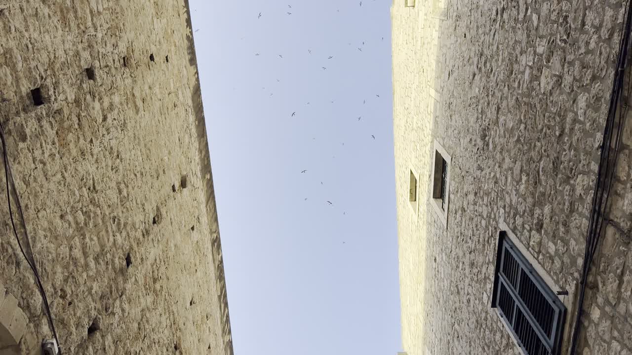 Vista cinematografica dal basso verso l'alto di storni che volano sopra gli edifici storici in pietra calcarea e le mura della città di Dubrovnik durante le prime ore dell'alba, creando un'atmosfera tranquilla [b-roll cinematografico di viaggio]