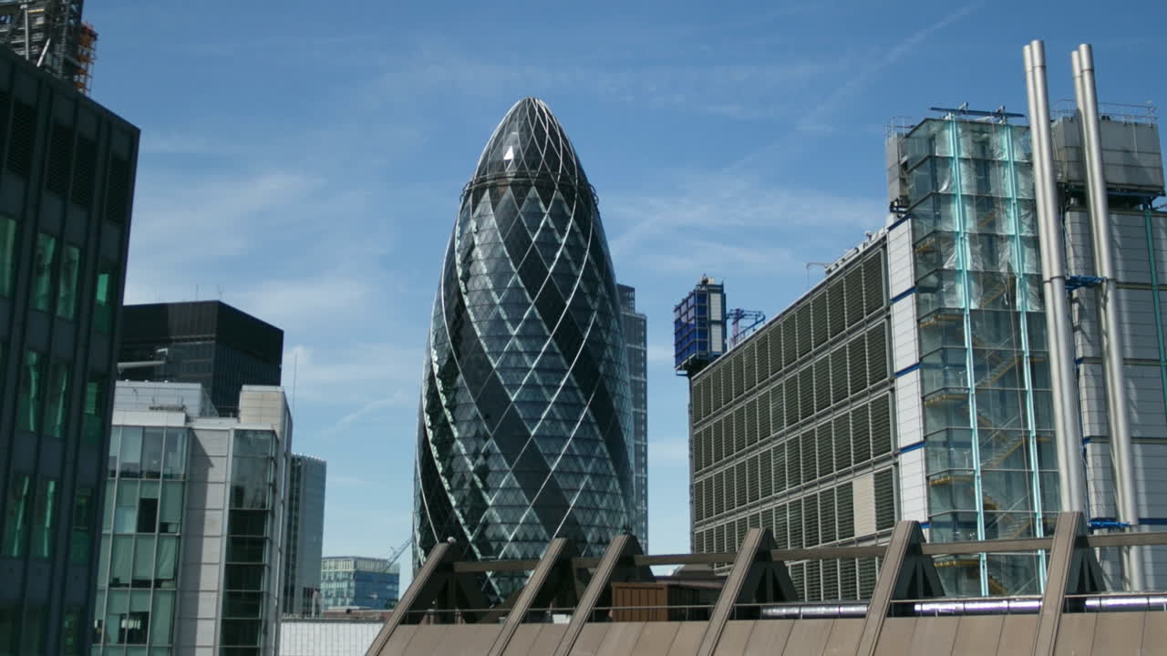 작은 오이 보기 05