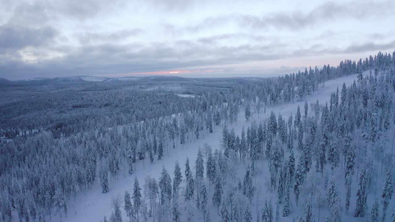 vista de la carretera del gran bosque de taiga cubierto de nieve durante la puesta de sol en laplandia, finlandia