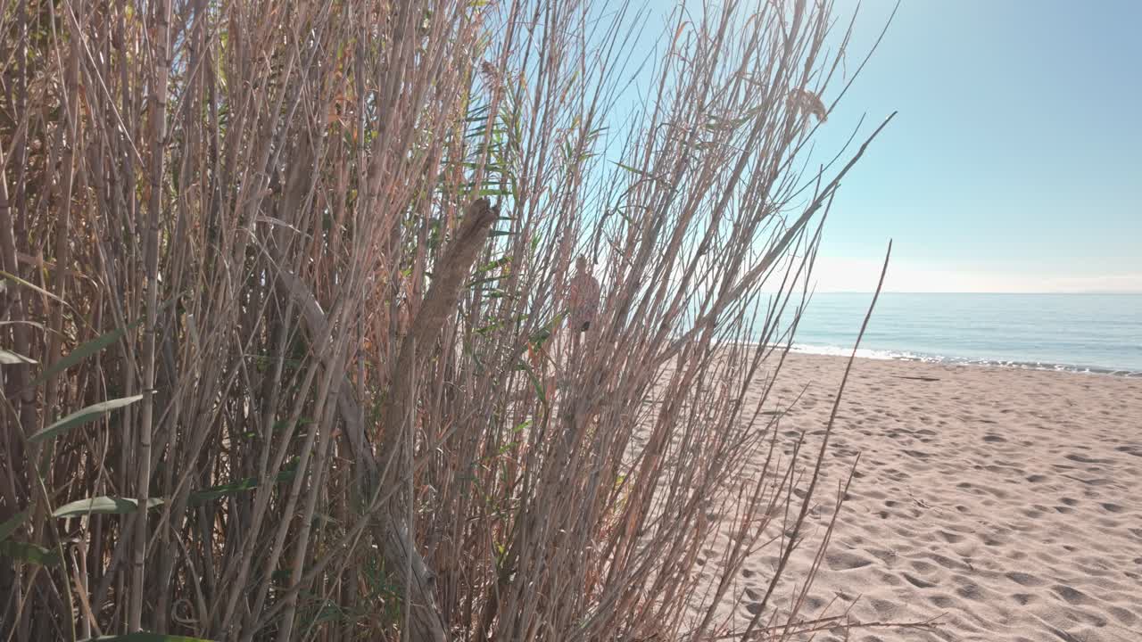 Lone female strolls on deserted Mediterranean beach in morning sun