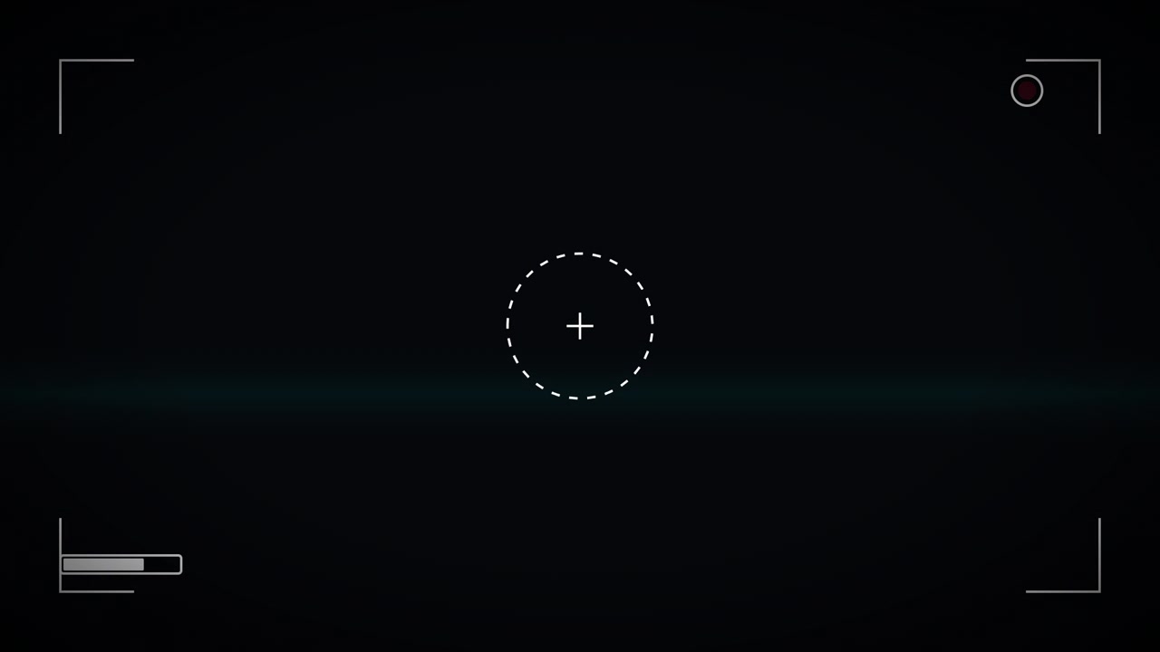 Digital Camera Viewfinder Overlay with Recording Indicator