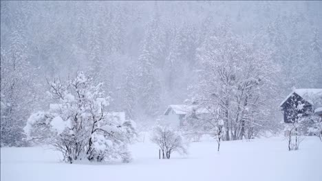 Invierno-En-La-Campiña-Tirolesa