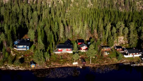 sky view of a village in norway near the deep river surrounded with green trees and houses - aerial shot