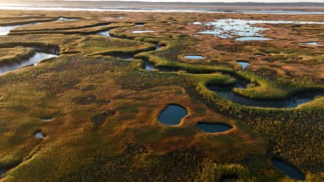 the great salt marsh of barnstable at sunrise at low tide. aerial view.
