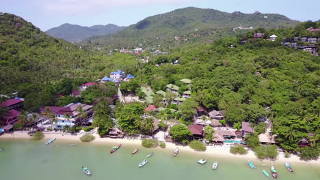 aerial view at tropical island. camera moves forward from coastline deep into the island. bright sunny day. koh tao. thailand