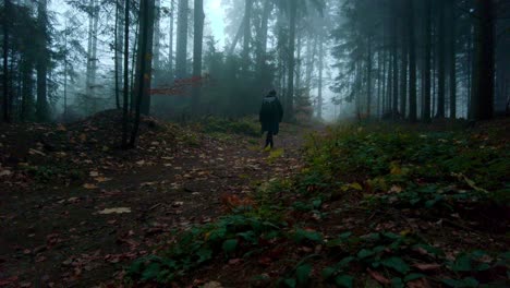 Silhouette-Eines-Mannes,-Der-In-Einem-Dunklen-Herbstwald-Wandert