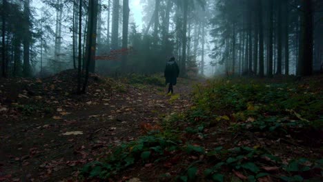 silueta de un hombre caminando en un oscuro bosque otoñal