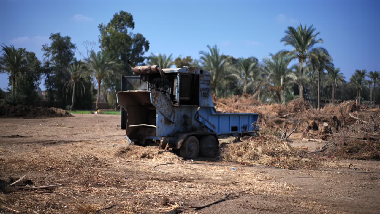 Abandoned Agricultural Machine in a Palm Grove: Rural Landscape