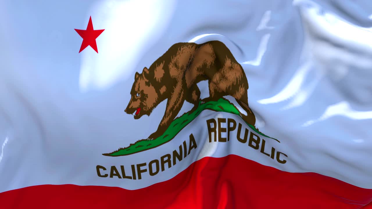 바람 속 느린 동작 애니메이션에서 캘리포니아 발을 흔들고, 4k 현실적인 직물 질감 발은 바람이 부는 날에 부드럽게 불고, 연속적인 원활한 루프 배경입니다.