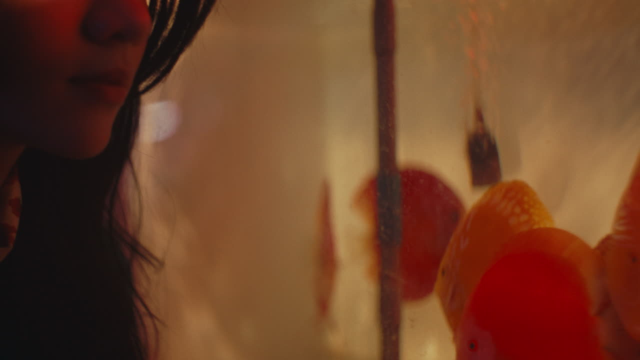 retrato en primer plano de una mujer por la noche