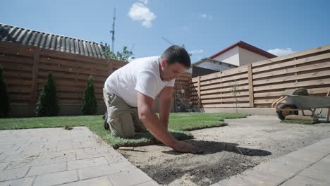 gardener laying a roll of natural lawn turf