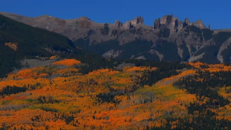 fall autumn auburn full peak colors castle mountain aerial drone ohio kebler swampy pass crested butte colorado aspen trees gunnison national forest morning sunny blue sky upward motion