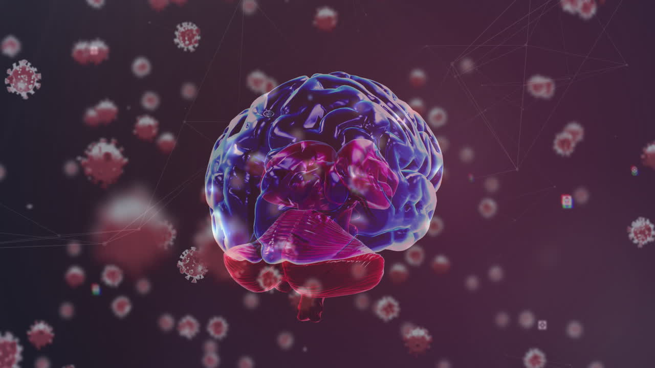 인간의 뇌가 회전하는 코로나19 세포의 애니메이션