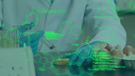 animation of data processing with chemical formula over caucasian male scientist in lab