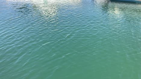 Static-shot-of-tropical-blue-and-green-water-with-ripples-going-across