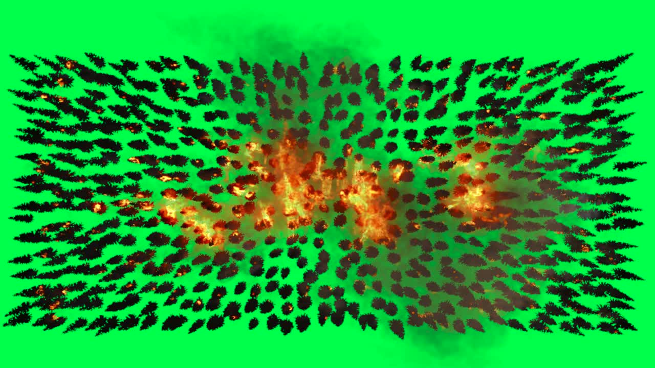 Forest Fire in Green Screen