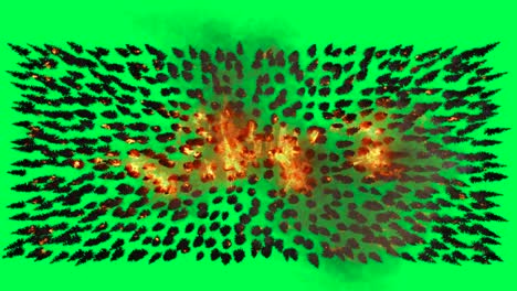 forest fire in green screen