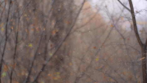 First-snowfall-in-late-autumn