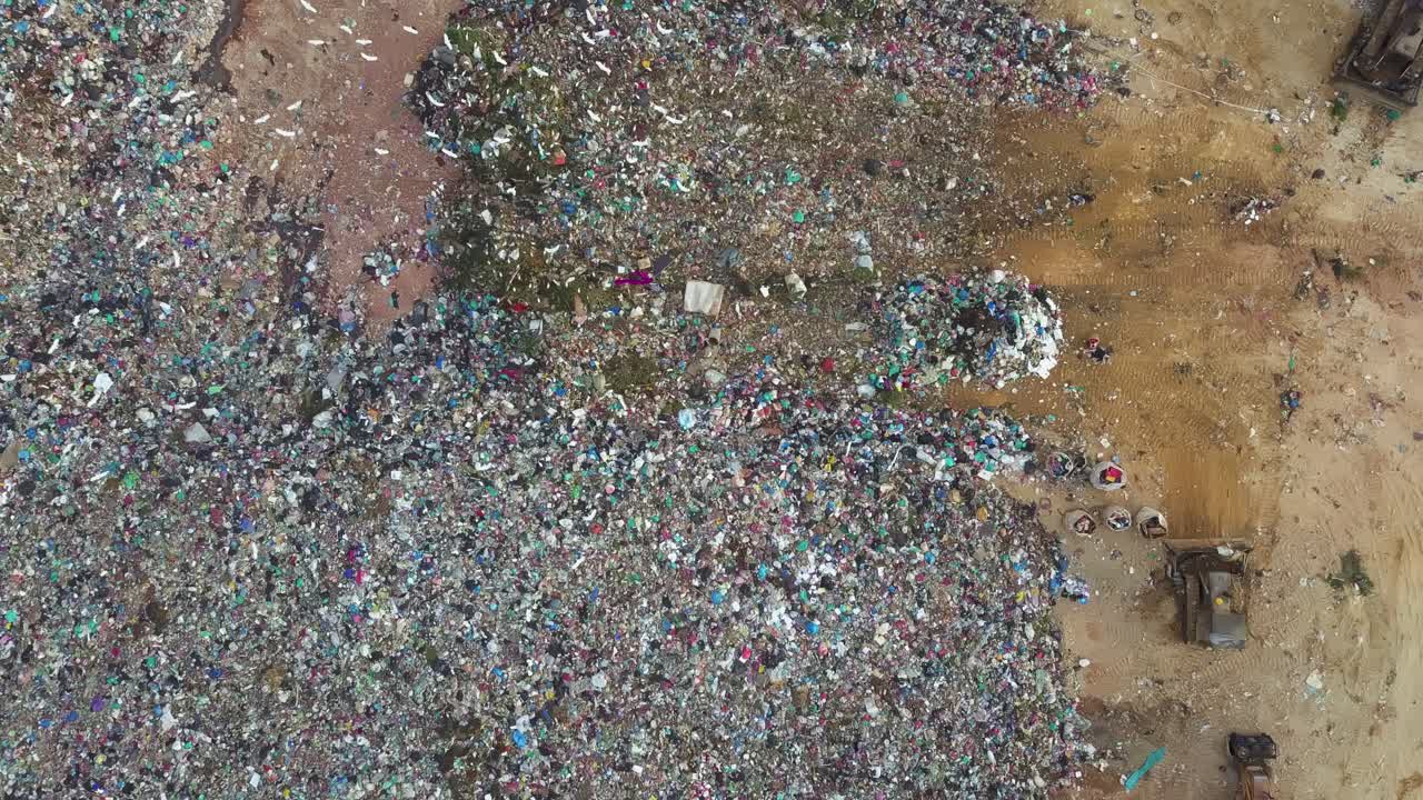 White egret birds fly searching food at landfill site