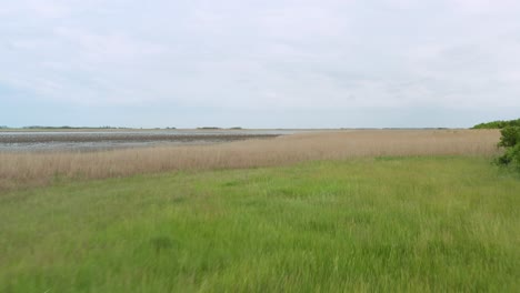 Wetland-Of-Special-Nature-Reserve-Slano-Kopovo-In-Novi-Becej,-Serbia